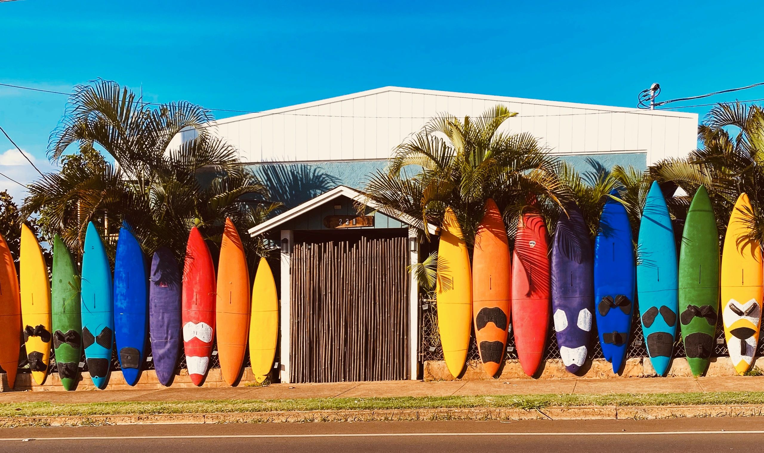 aloha surf hostel tours